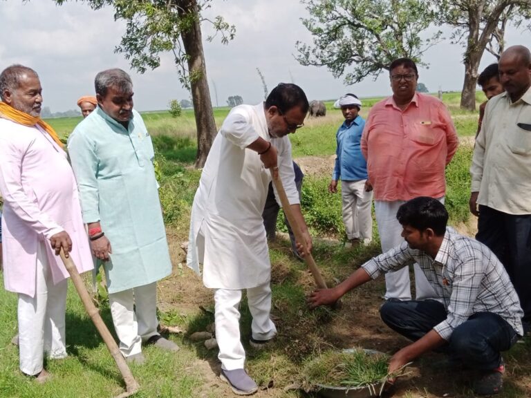 सेवा पखवाड़ा के अंतर्गत भाजपा कार्यकर्ताओं ने किया श्रमदान-जिलाध्यक्ष युधिष्ठिर सिंह जिले के अमृत सरोवरों को किया गया स्वच्छ, चला स्वच्छता अभियान